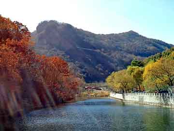 日韩女同视频在线网站，惊悚旅店